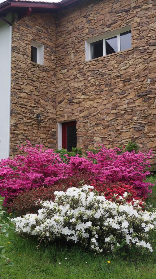 Apitoki - Chambres D'Hotes Au Pays Basque 어룬 외부 사진